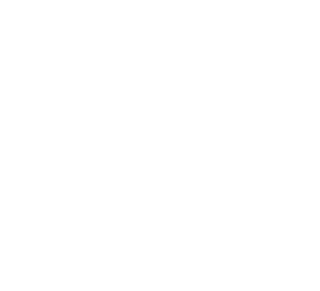 AgiLevel
